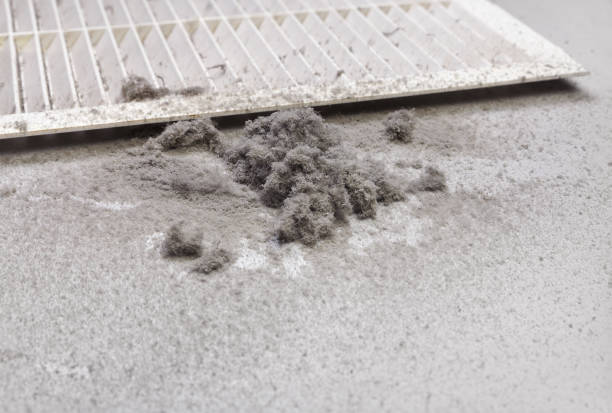 Best Air Vent Cleaning Services  in Redland, MD