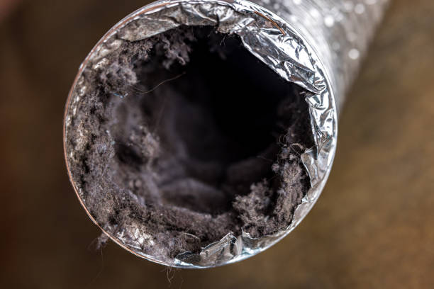 Best Affordable Duct Cleaning Services  in Redland, MD